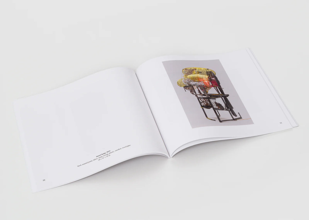 Jessi Reaves: process invented the mirror