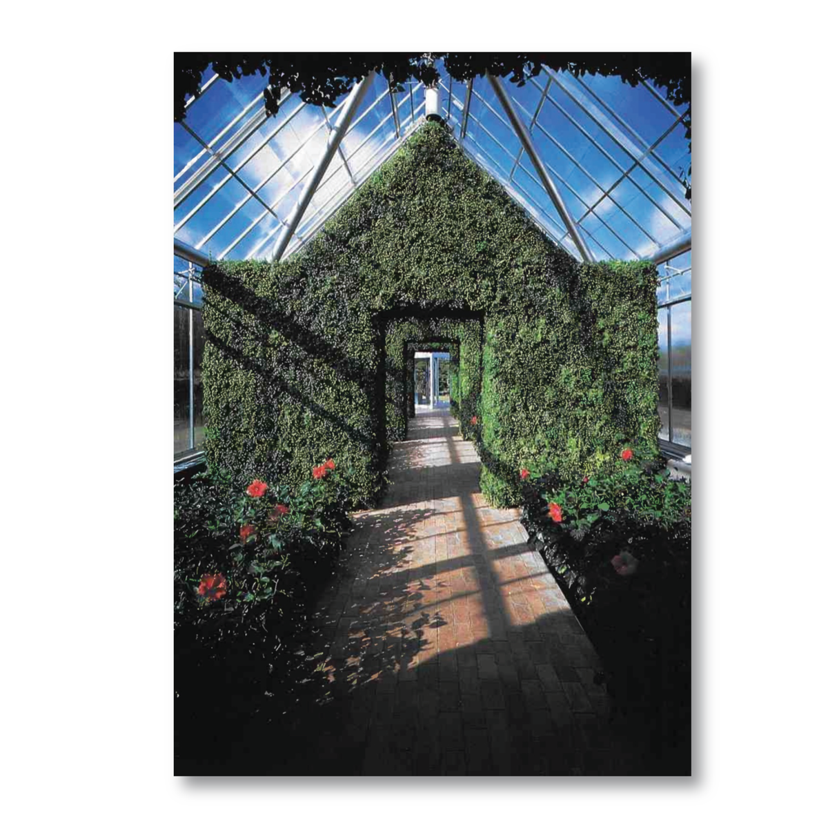 Regis Garden Notecard