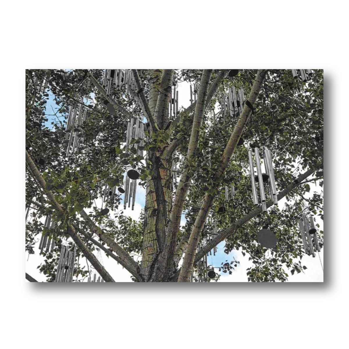 Pierre Huyghe Wind Chime Postcard