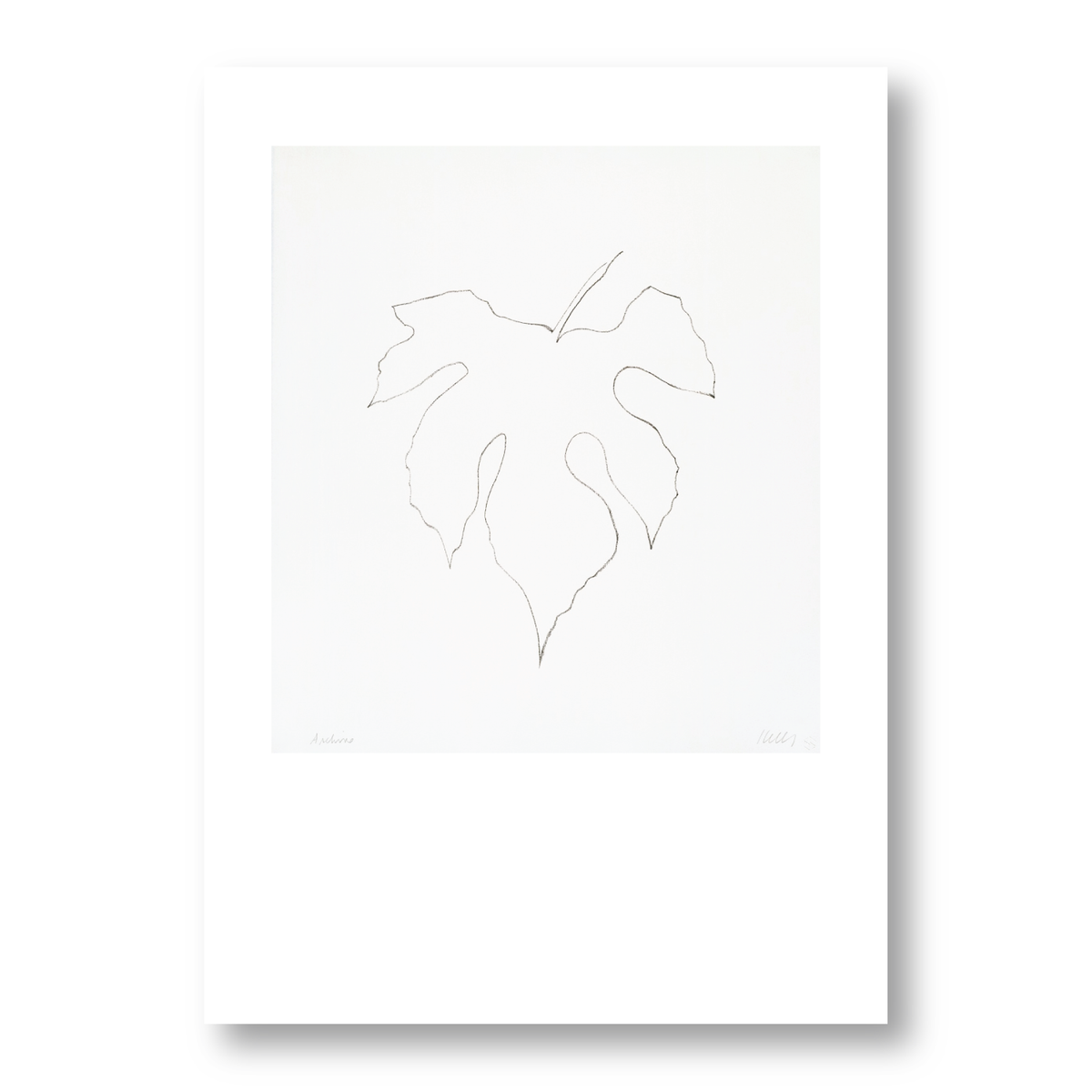 Ellsworth Kelly Wild Grape Leaf Notecard