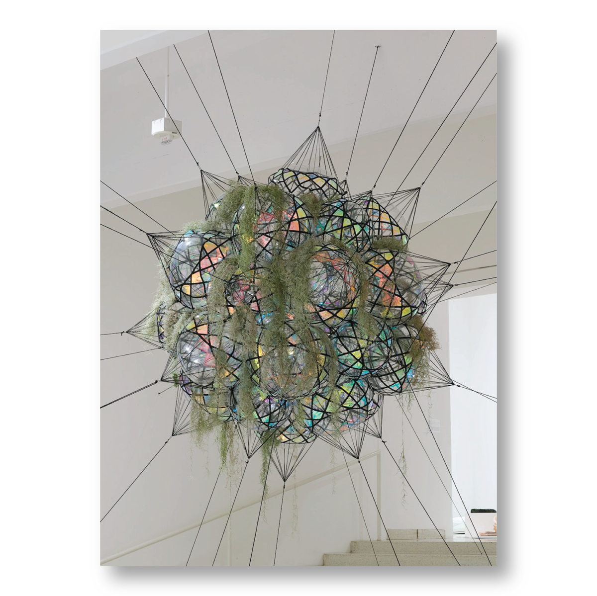 Tomás Saraceno Flying Garden Postcard