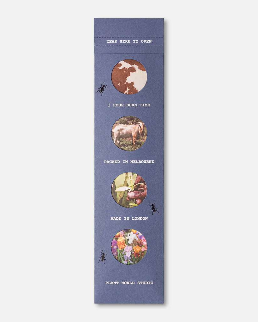 Sanctuary Incense