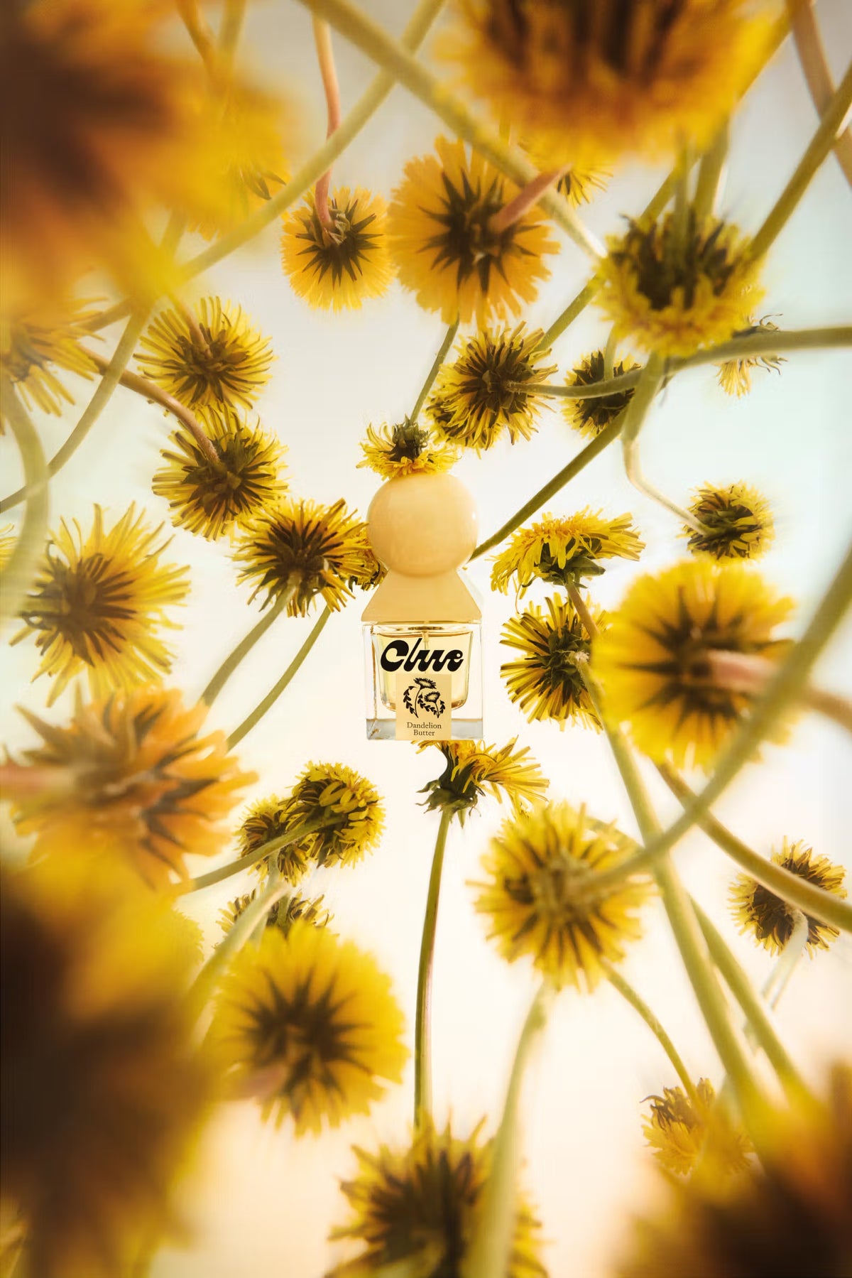 Dandelion Butter