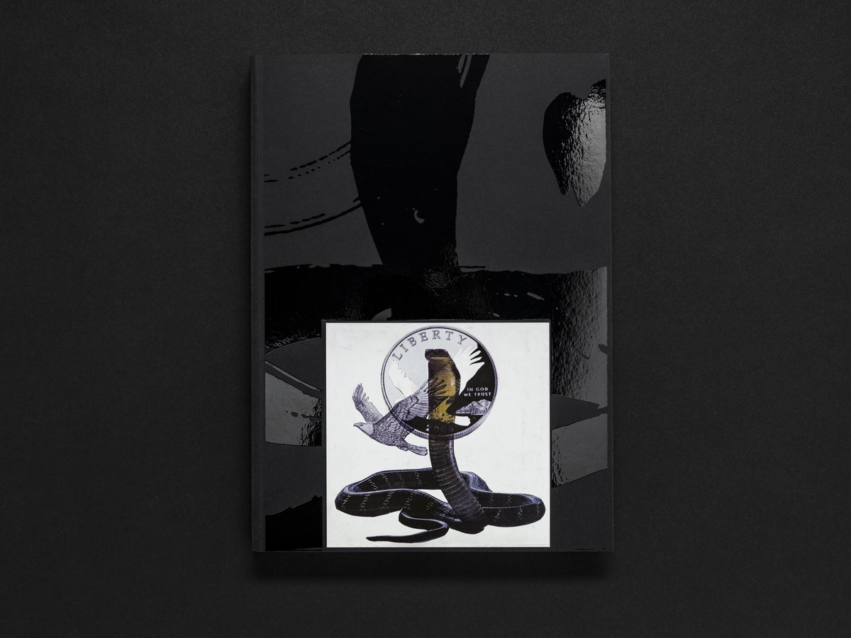 Kandis Williams: A Surface