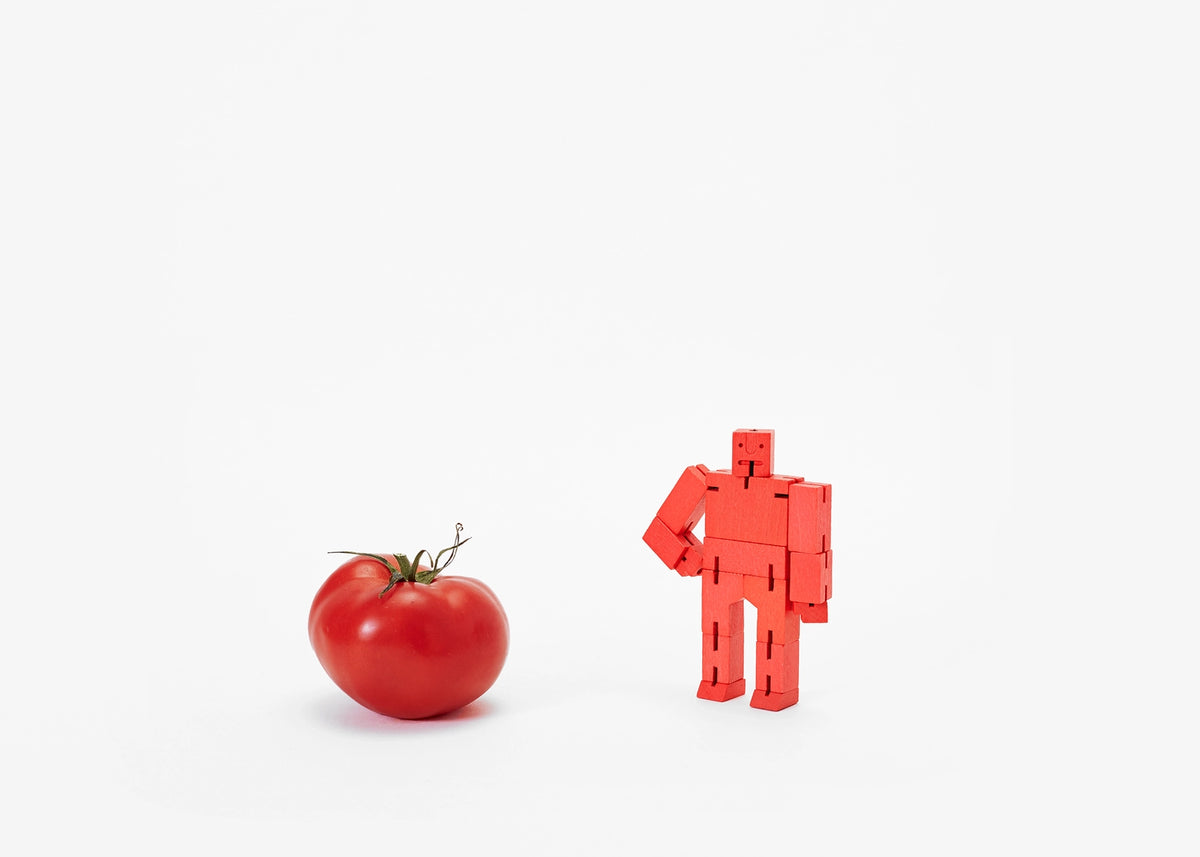 Cubebot Micro