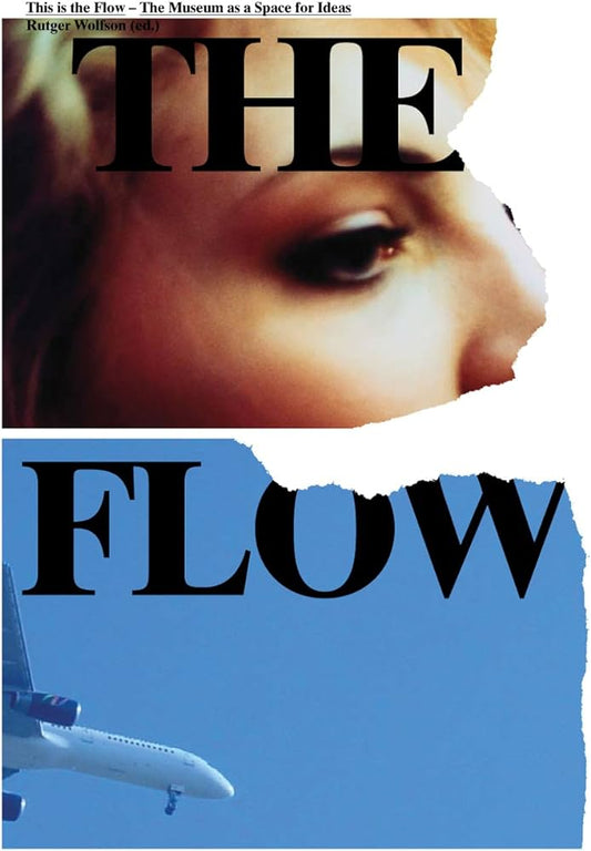 This Is the Flow: The Museum as a Space for Ideas