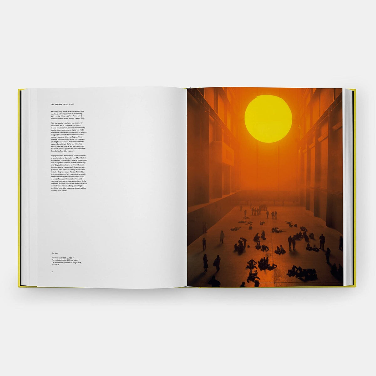 Olafur Eliasson: Experience