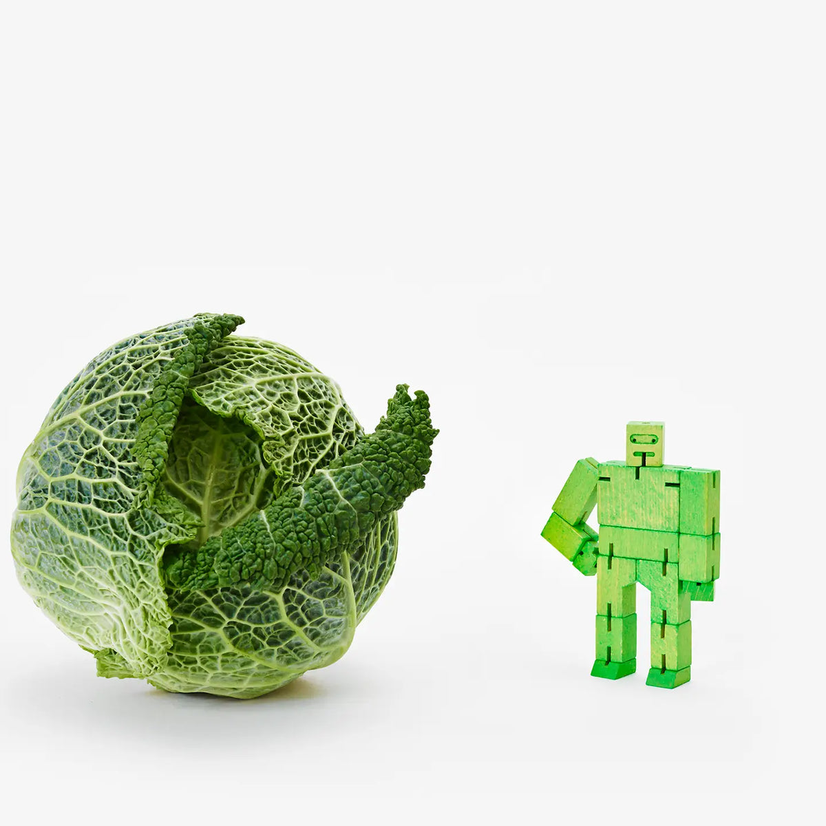 Cubebot Micro
