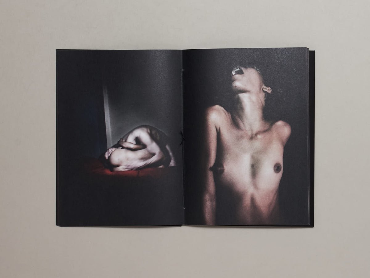 Antoine d’Agata and Francis Bacon: Aesthetic Parallel of Two