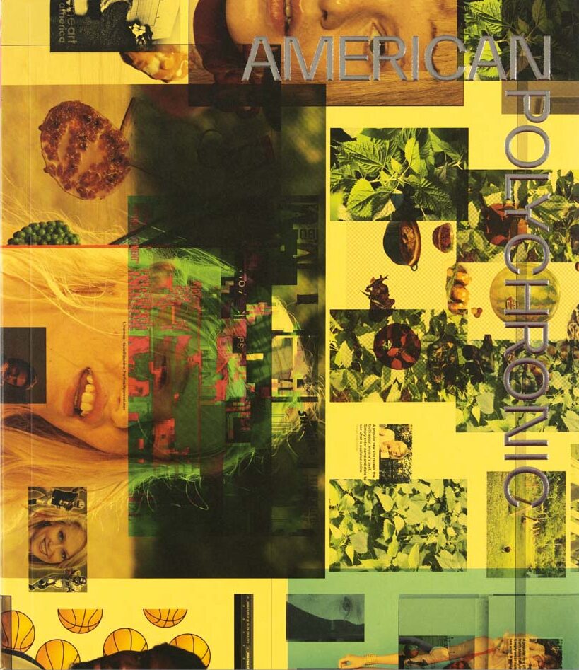 AMERICAN POLYCHRONIC