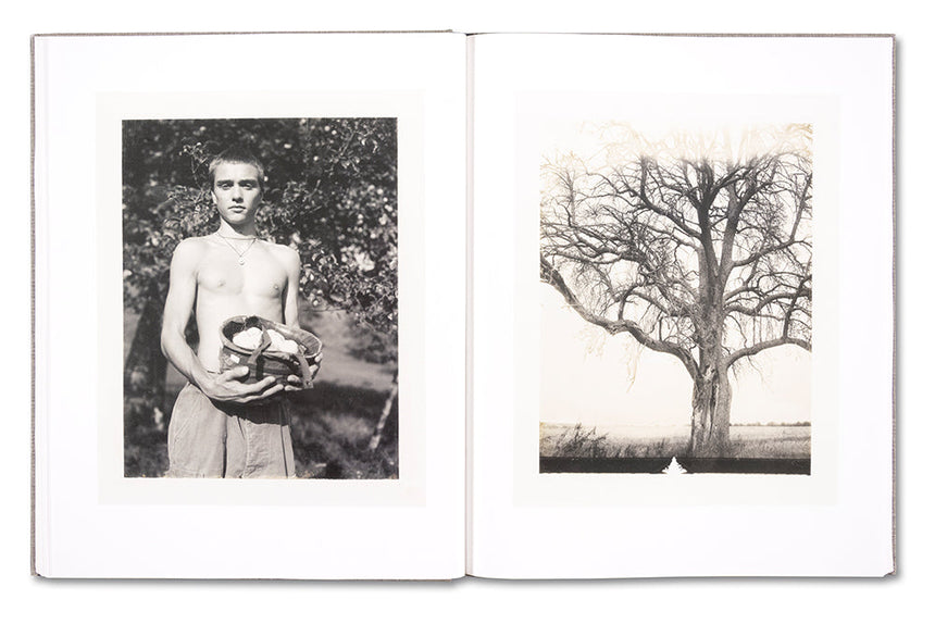 Collier Schorr: August