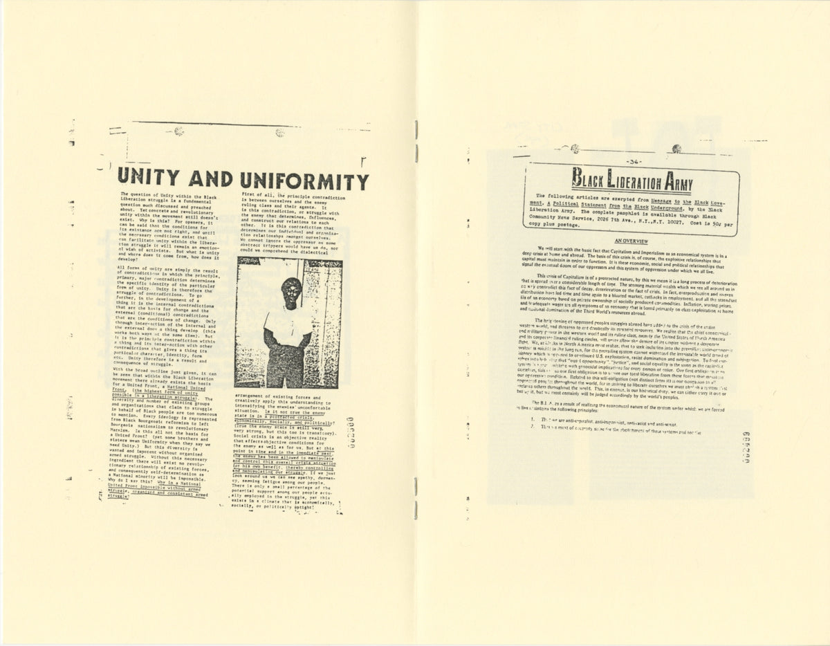 The Black Liberation Army
