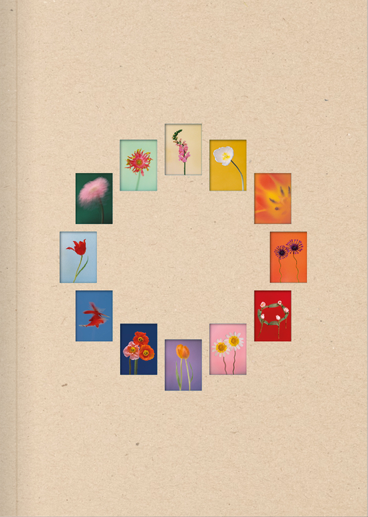The Chromatics of Flowers