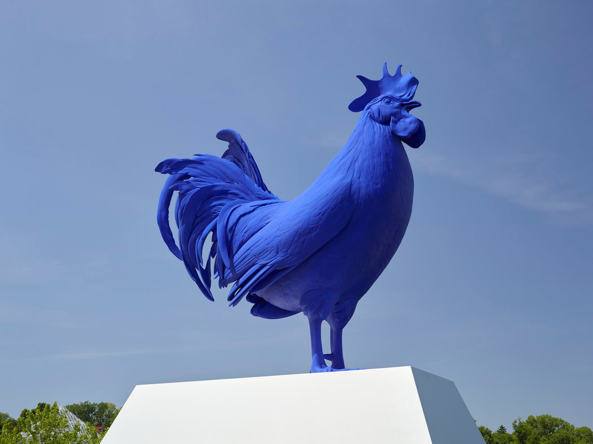 Hahn/Cock Notebook