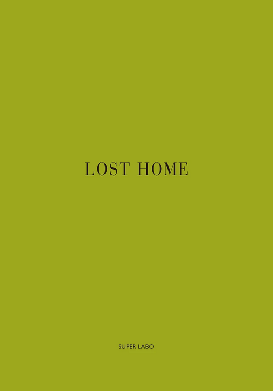 LOST HOME