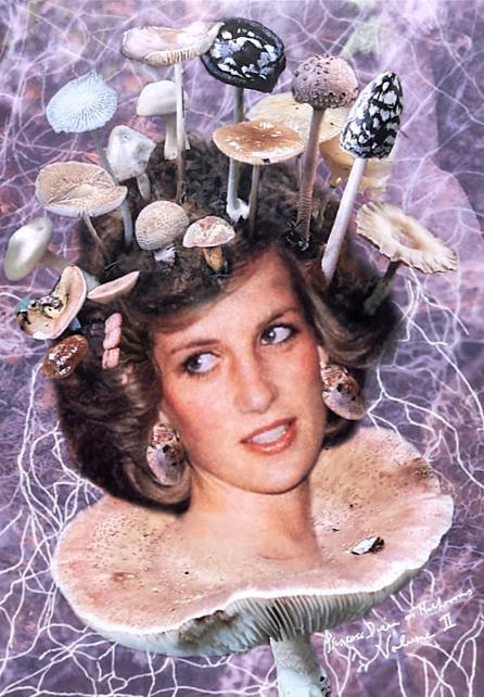 Princess Diana as Mushrooms Volume II