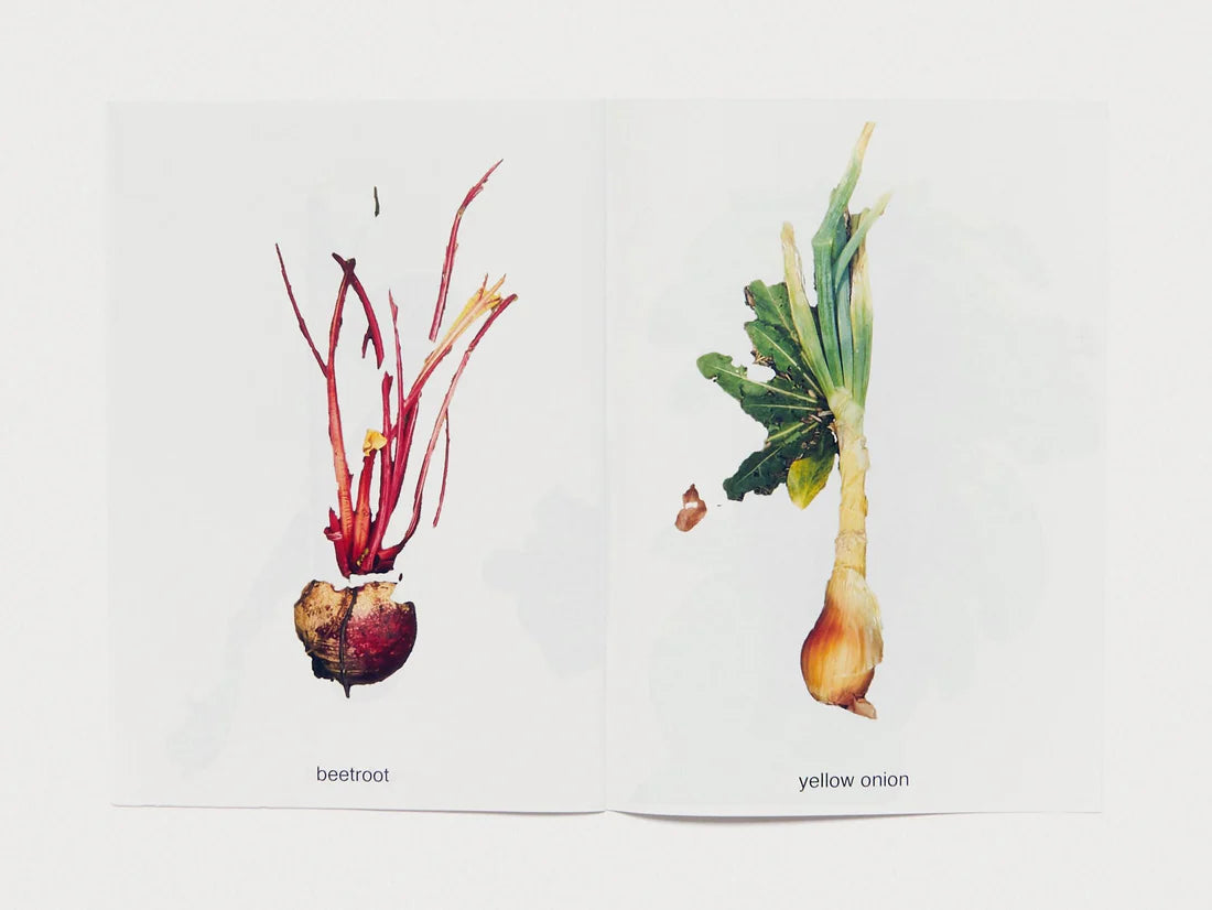 MY FRUITS MY VEGETABLES