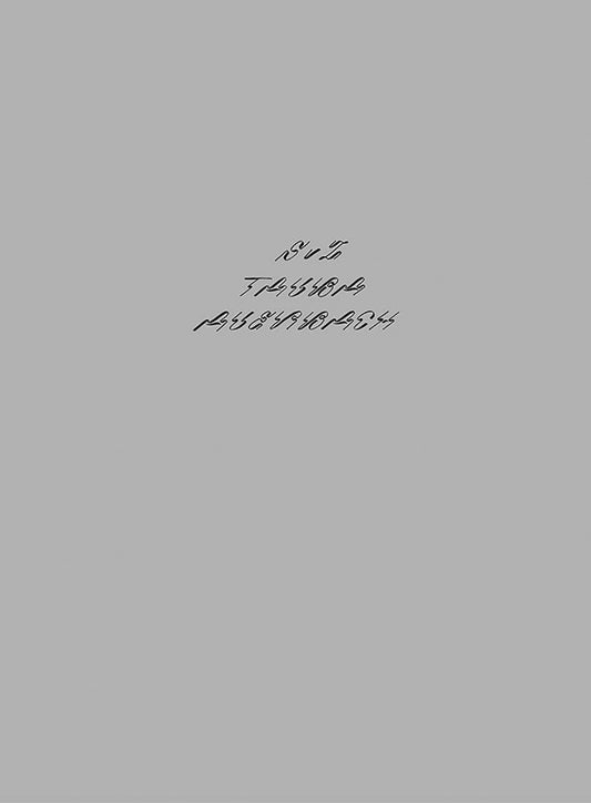 Tauba Auerbach — S v Z