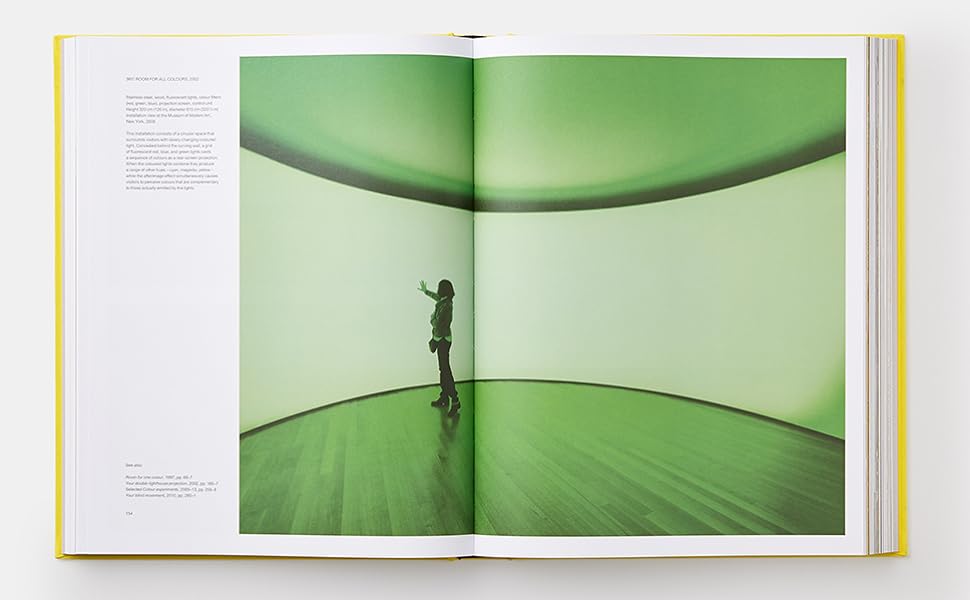 Olafur Eliasson: Experience