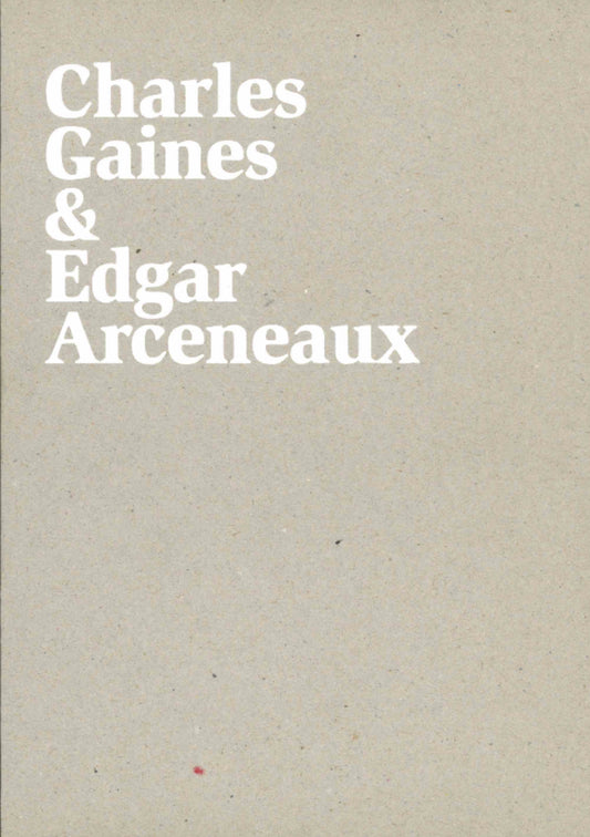 Snake River: Charles Gaines & Edgar Arceneaux