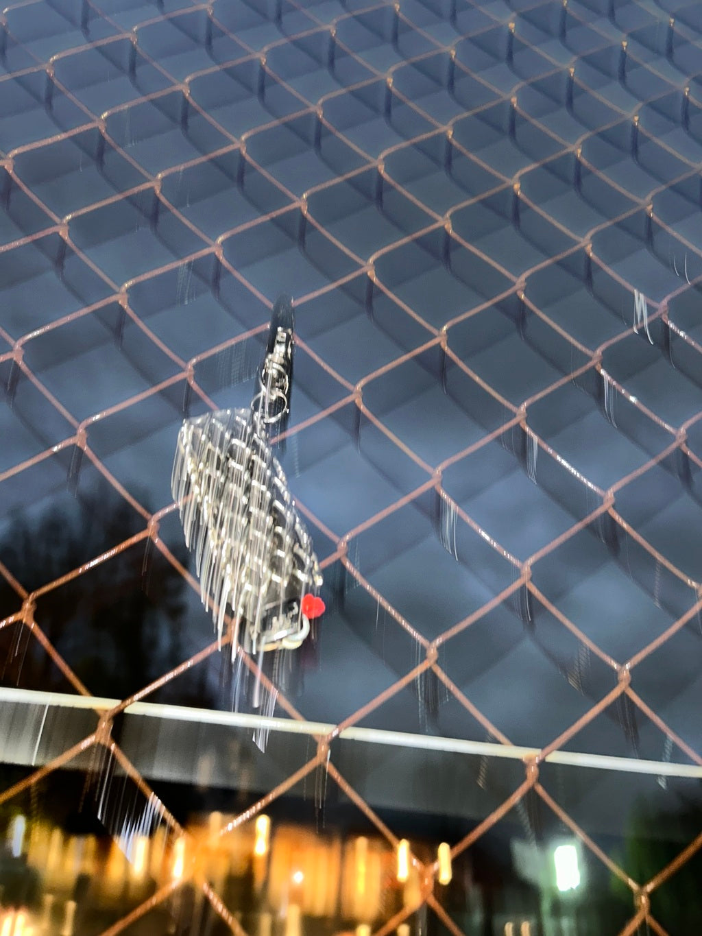 Wire Lighter Case