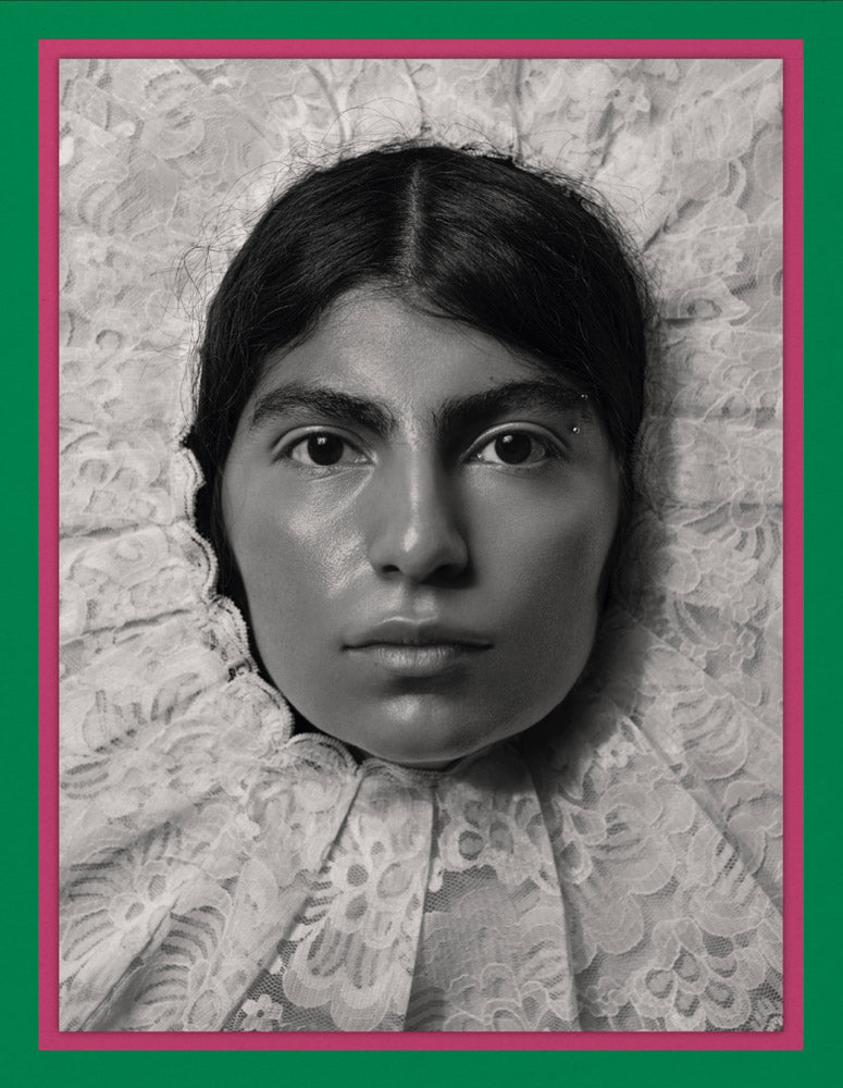 Pieter Henket: Birds of Mexico City