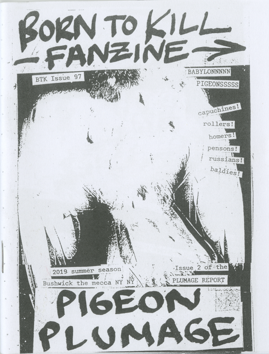 Pigeon Plumage