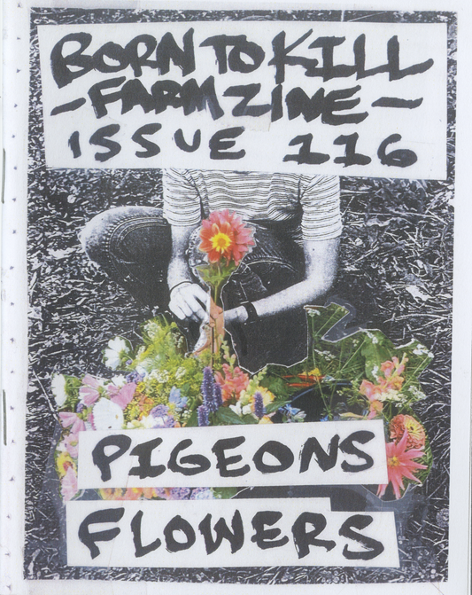 Pigeons and Flowers #116