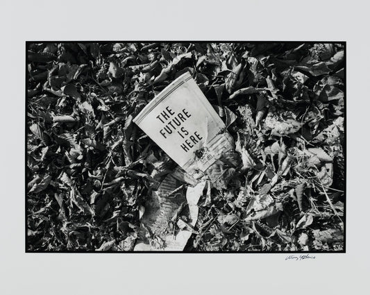 "The Future is Here", Wing Young Huie, 1998