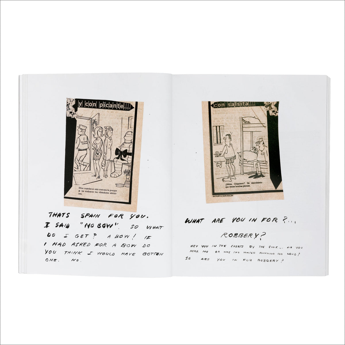 William Wegman: Writing by Artist