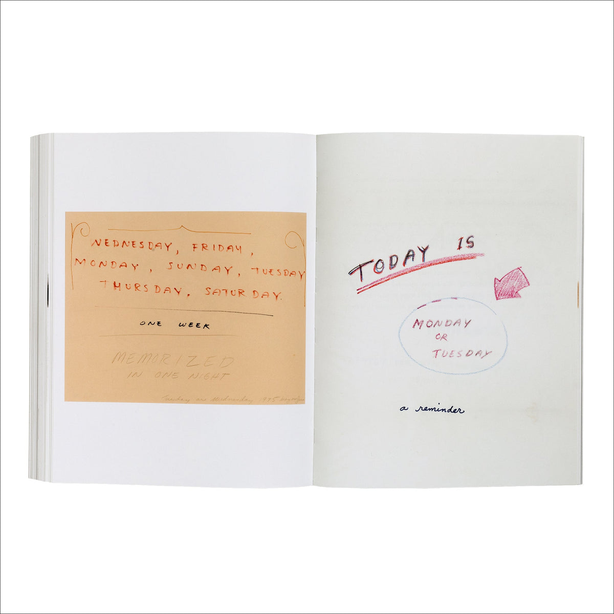 William Wegman: Writing by Artist