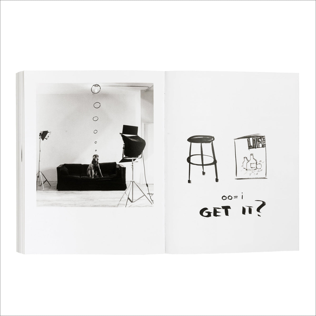William Wegman: Writing by Artist
